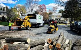 Best Arborist Consultation Services  in East Alton, IL